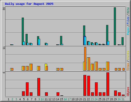 Daily usage for August 2025