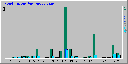 Hourly usage for August 2025