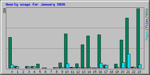 Hourly usage for January 2026
